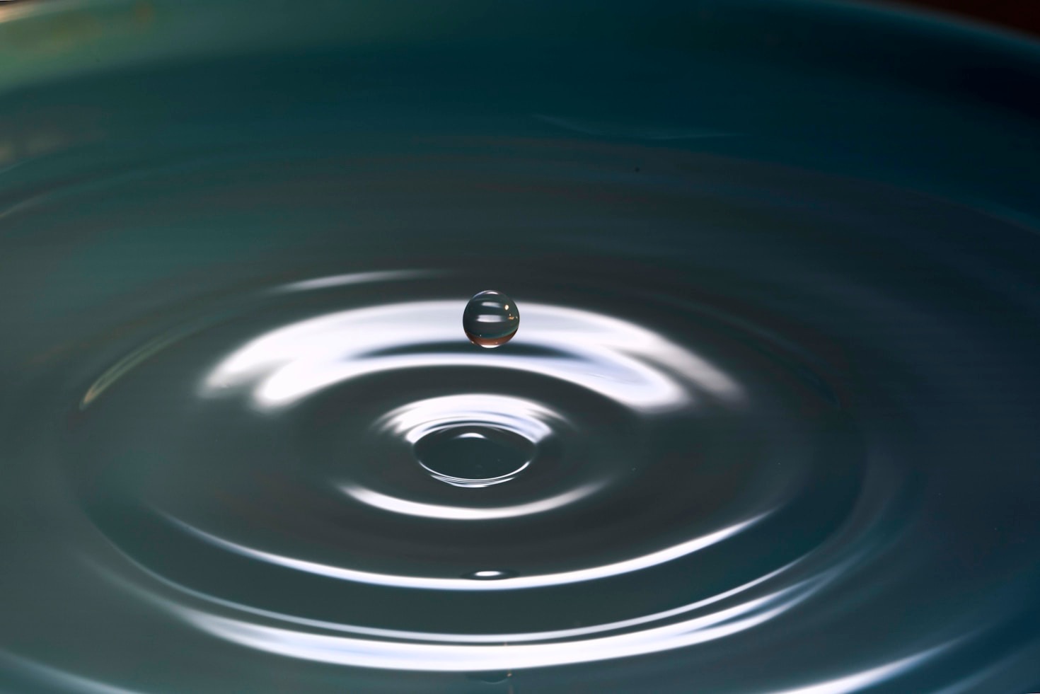 Returning To Wholeness In A Fragmented World